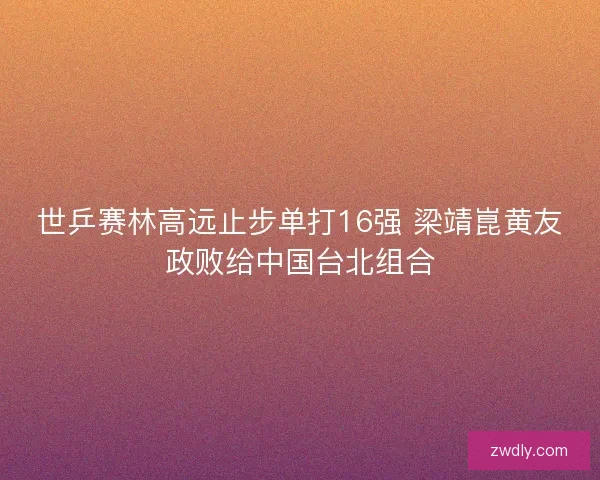 世乒赛林高远止步单打16强 梁靖崑黄友政败给中国台北组合