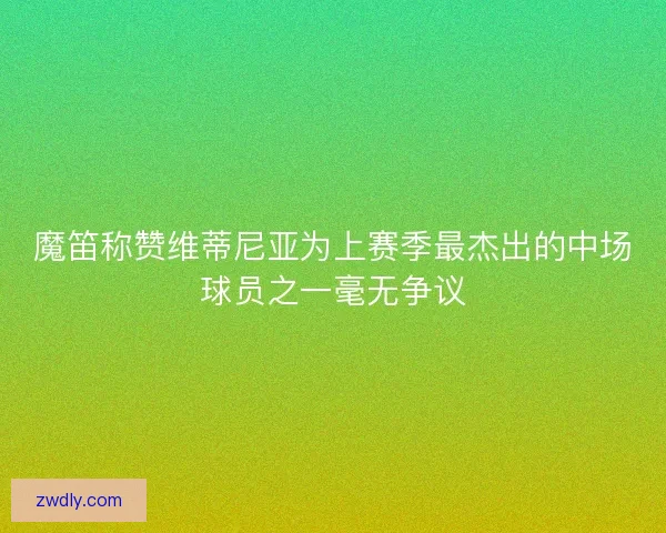 魔笛称赞维蒂尼亚为上赛季最杰出的中场球员之一毫无争议
