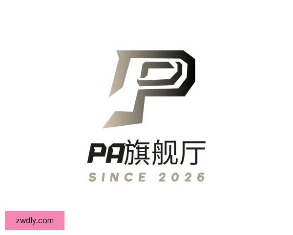 认识PA旗舰